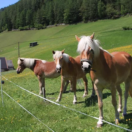 Farm stay Omesbergerhof