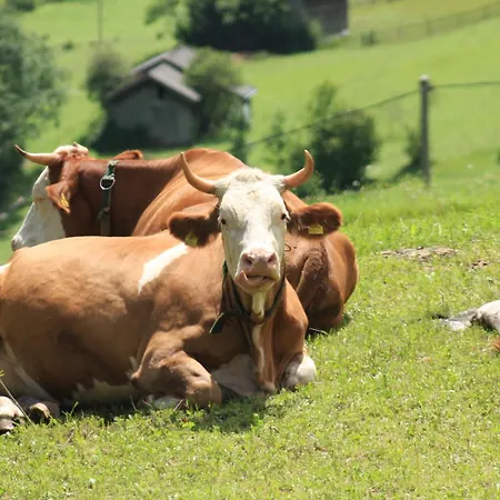 Alojamento de Turismo Rural Omesbergerhof *