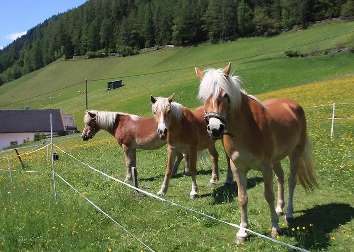 Séjour à la ferme Omesbergerhof