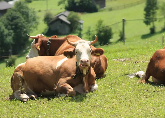 Séjour à la ferme Omesbergerhof *